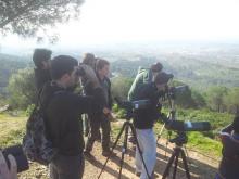 Más de 20.000 aves pasan por el cielo del Albergue Fuente Agria 